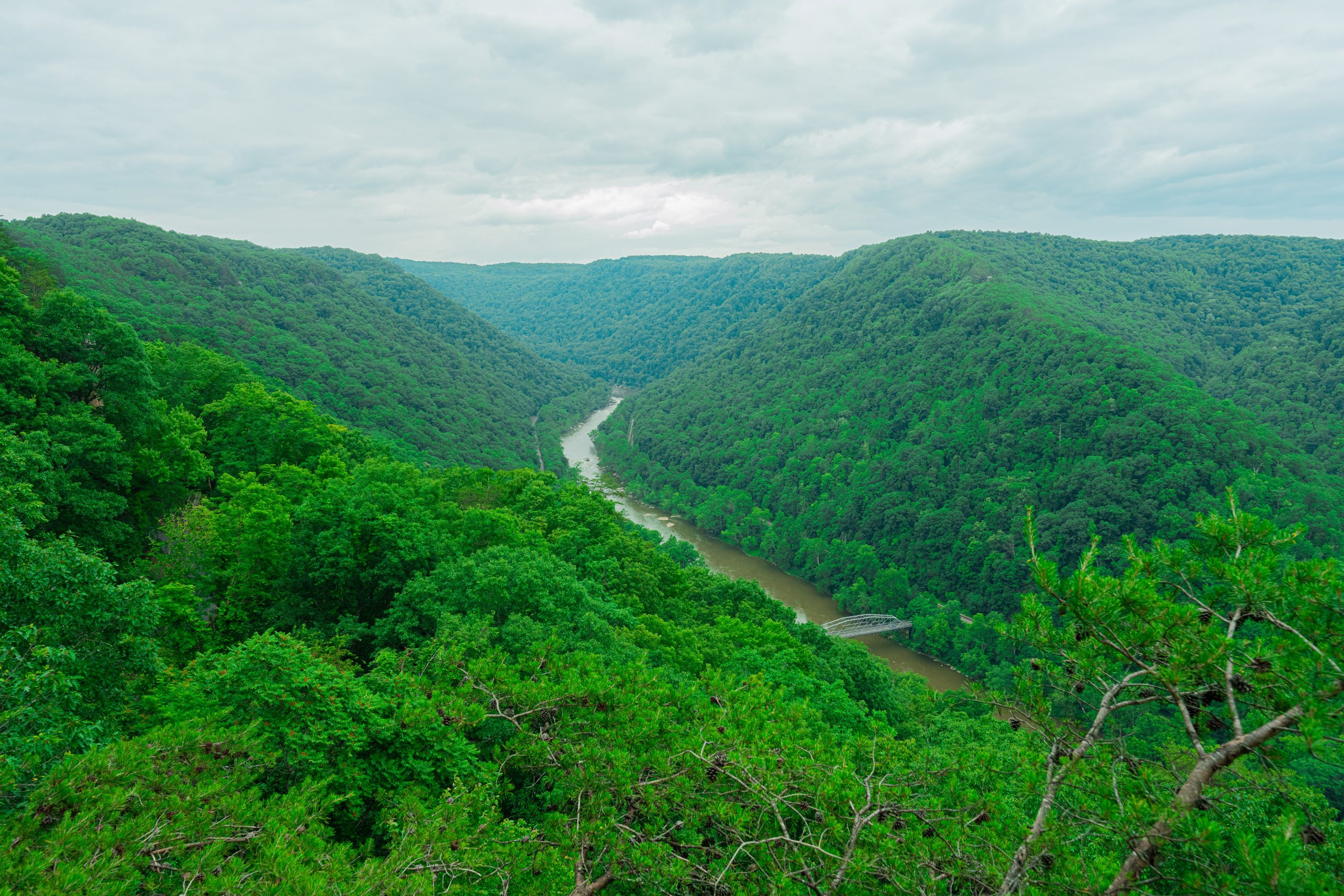Visualize a healthier West Virginia